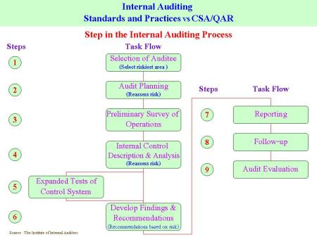 Internal Auditing Standards & Practices