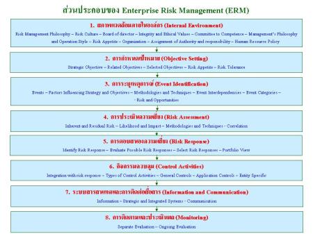 องค์ประกอบของ ERM 8 ประการ