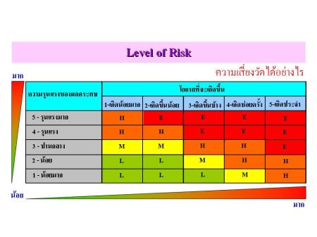 Level of Risk Level of Risk
