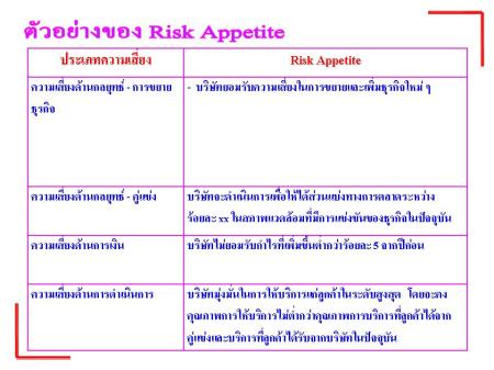 ตัวอย่างของ Risk Appetite