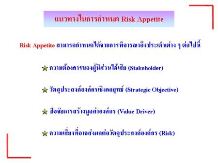 แนวทางในการกำหนด Risk Appetite