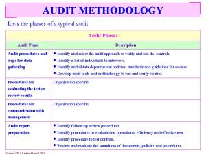 Lists the phases of a typical audit and Auditors