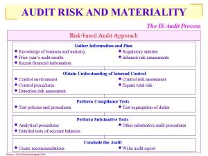 Risk-based Audit Approach and Auditors