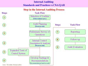 Internal Auditing Standards and Auditors & CEA 
