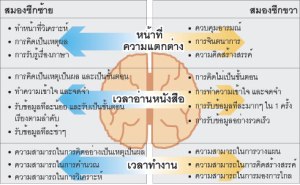 Credit Photo : Forum DMC.TV